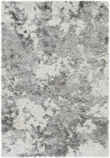 Surya Alta Shag ASG-2304 6'7" x 9' Rug
