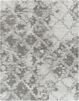 Surya Alta Shag ASG-2305 2' x 2'11" Rug
