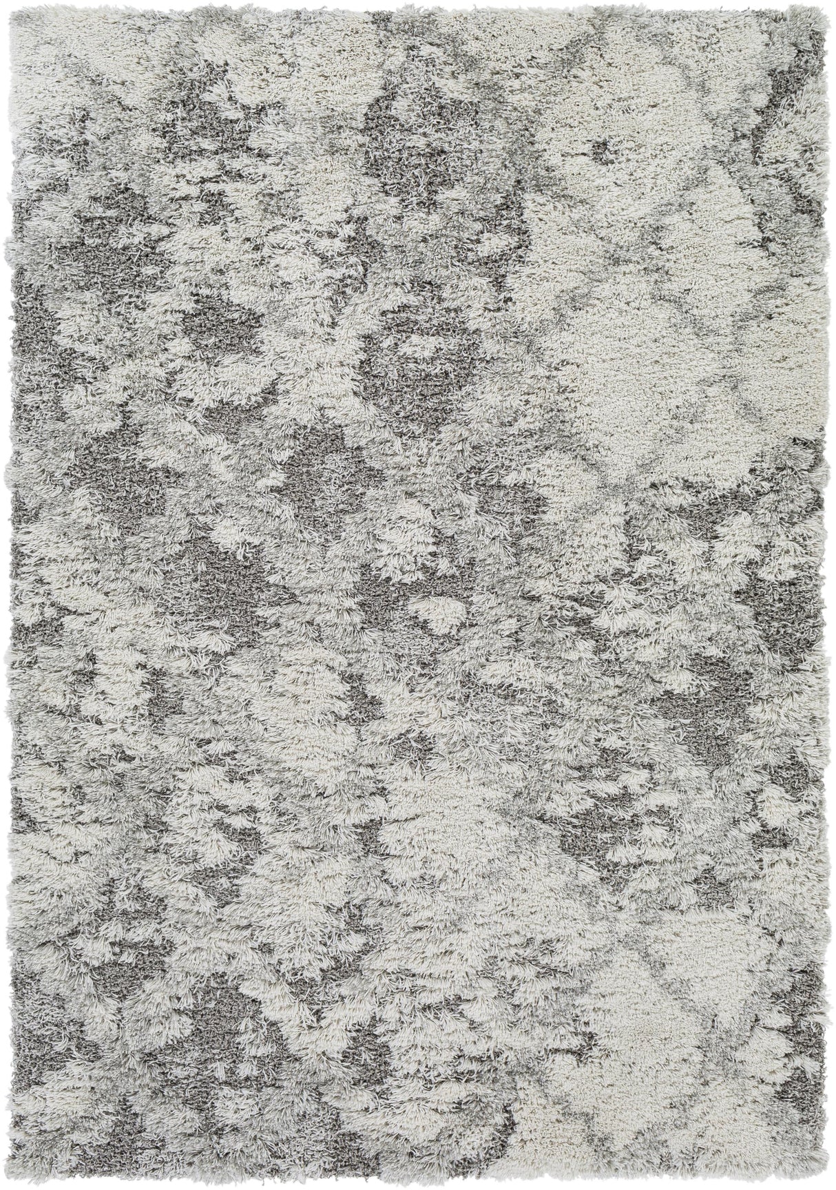 Surya Alta Shag ASG-2305 2' x 3' Rug