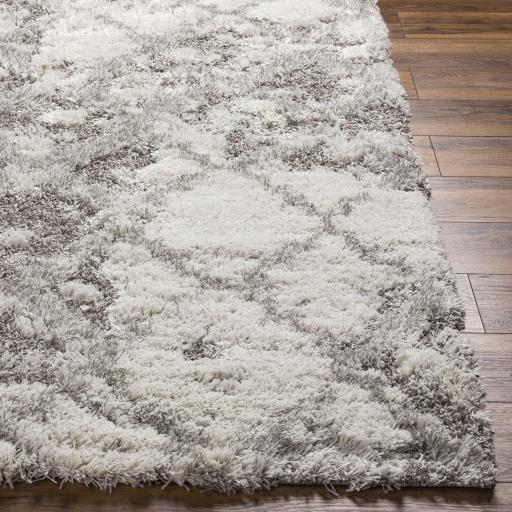 Surya Alta Shag ASG-2305 2' x 2'11" Rug