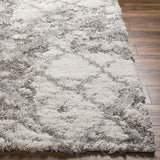 Surya Alta Shag ASG-2305 2' x 2'11" Rug