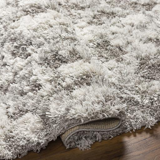 Surya Alta Shag ASG-2305 2' x 2'11" Rug