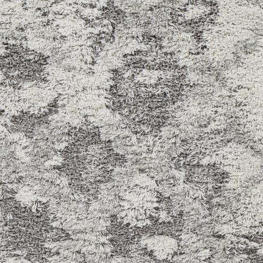 Surya Alta Shag ASG-2305 2' x 2'11" Rug