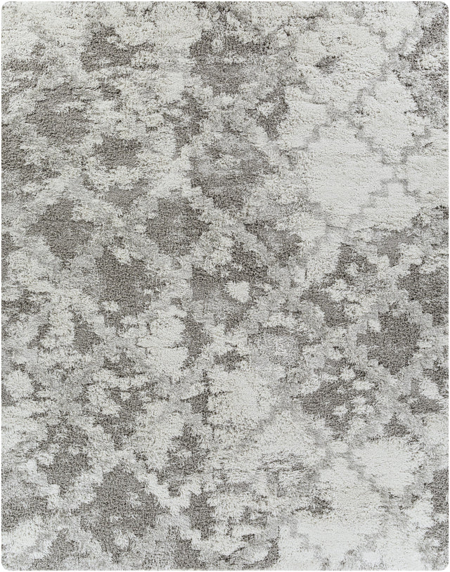 Surya Alta Shag ASG-2305 7'10" x 10' Rug