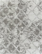 Surya Alta Shag ASG-2305 7'10" x 10' Rug
