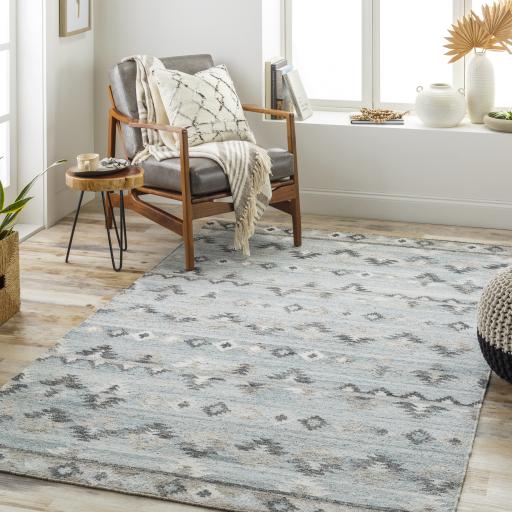Surya Alyssa AYS-2303 2' x 3' Rug