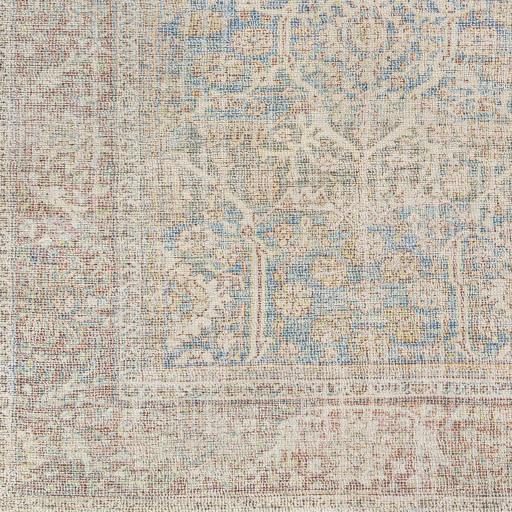 Surya Amasya AMY-2303 5' x 7'6" Rug