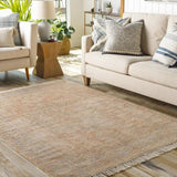 Surya Amasya AMY-2305 2' x 3' Rug