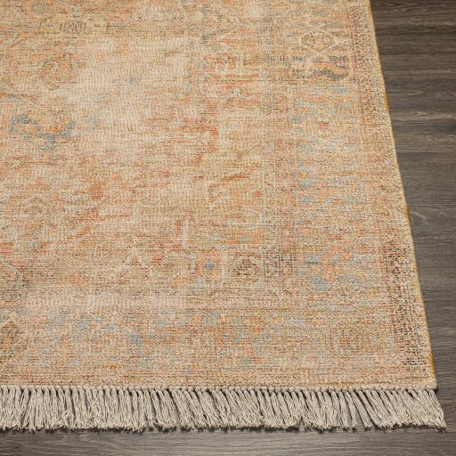 Surya Amasya AMY-2305 2' x 3' Rug