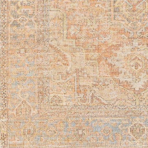 Surya Amasya AMY-2305 2' x 3' Rug