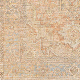 Surya Amasya AMY-2305 2' x 3' Rug
