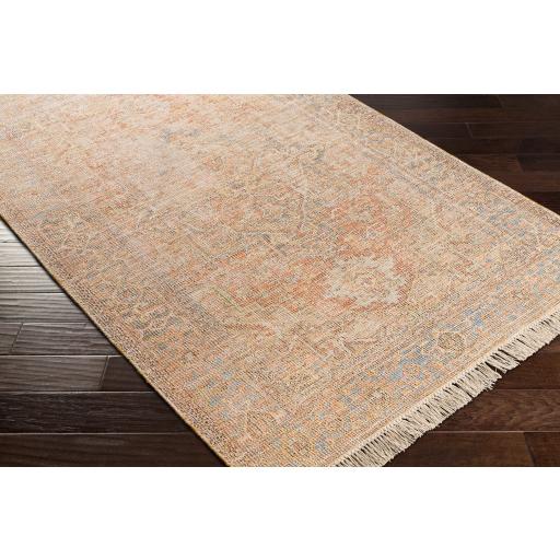 Surya Amasya AMY-2305 Burgundy Dark Brown 2' x 3' Rug