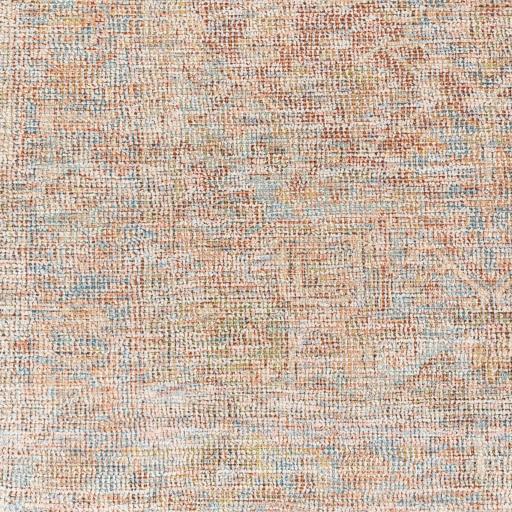 Surya Amasya AMY-2306 2' x 3' Rug