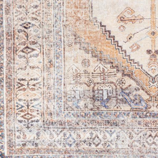 Surya Amelie AML-2312 2'7" x 7'10" Rug