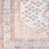 Surya Amelie AML-2326 7'10" x 10'2" Rug
