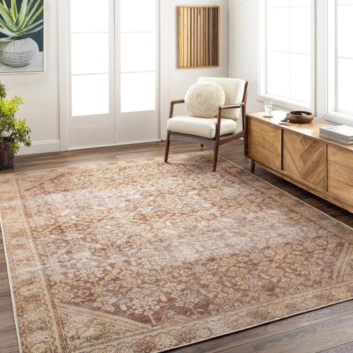 Surya Amelie AML-2345 Brown Light Beige 2' x 2'11" Rug