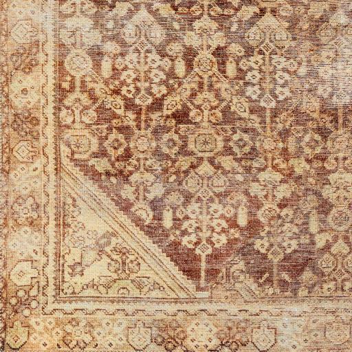 Surya Amelie AML-2345 Brown Light Beige 2' x 2'11" Rug