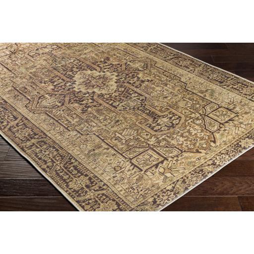 Surya Amelie AML-2348 Brown Mustard 7'10" x 10'2" Rug