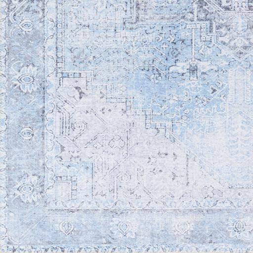 Surya Amelie AML-2362 6'7" x 9' Rug