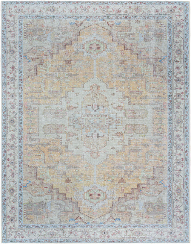 Surya Amelie AML-2373 Dark Brown Light Gray 8'10" x 12' Rug