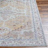 Surya Amelie AML-2373 Dark Brown Light Gray 8'10" x 12' Rug