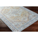 Surya Amelie AML-2373 Dark Brown Light Gray 8'10" x 12' Rug