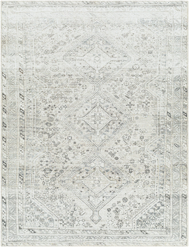 Surya Amelie AML-2379 7'10" x 10'2" Rug