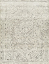 Surya Amelie AML-2379 7'10" x 10'2" Rug