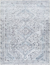 Surya Amelie AML-2380 8'10" x 12' Rug