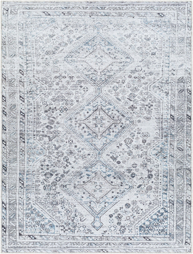 Surya Amelie AML-2380 8'10" x 12' Rug