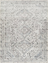 Surya Amelie AML-2380 8'10" x 12' Rug