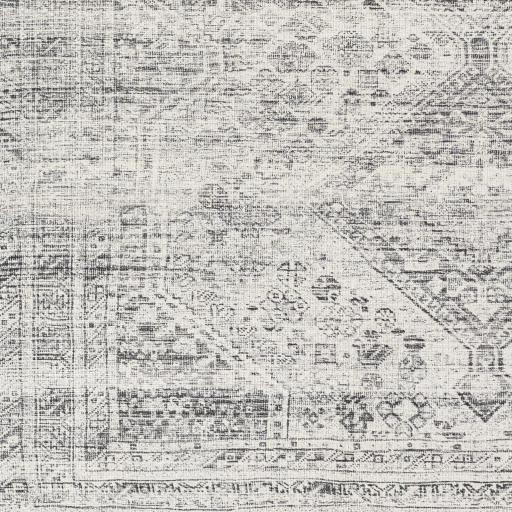 Surya Amelie AML-2381 5'3" x 7'3" Rug