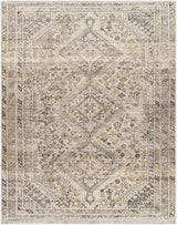 Surya Amelie AML-2382 8'10" x 12' Rug