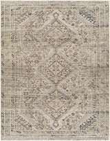 Surya Amelie AML-2383 2'7" x 7'10" Rug