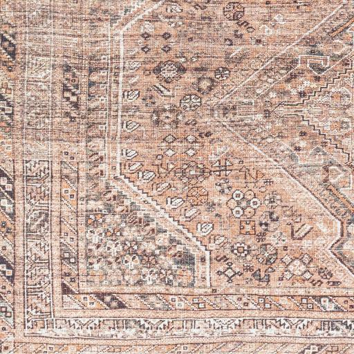 Surya Amelie AML-2384 7'10" x 10'2" Rug