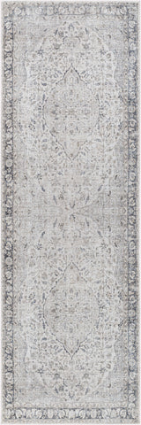 Surya Amelie AML-2385 2' x 2'11" Rug
