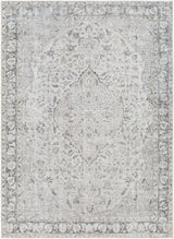 Surya Amelie AML-2385 7'10" x 10'2" Rug