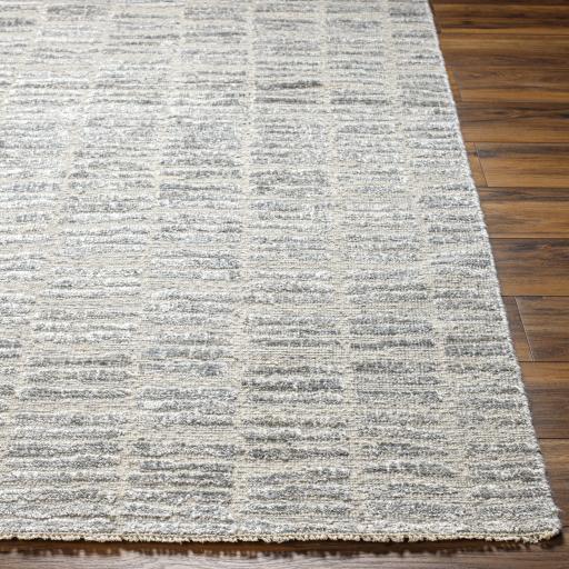 Surya Amina AMA-2300 2' x 3' Rug