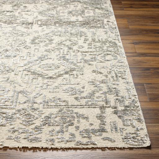 Surya Amina AMA-2301 Beige Ivory 8' x 10' Rug