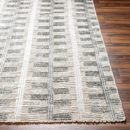 Surya Amina AMA-2302 2' x 3' Rug