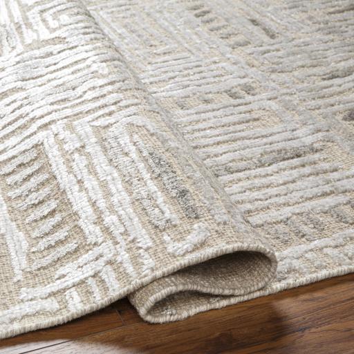 Surya Amina AMA-2303 Beige Light Sage 8' x 10' Rug