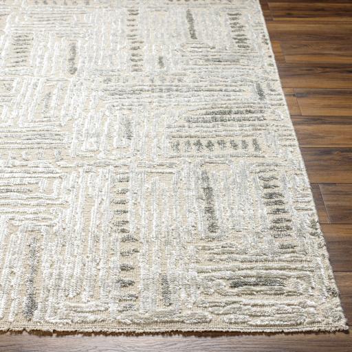 Surya Amina AMA-2303 8' x 10' Rug