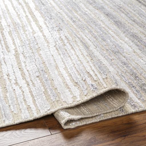 Surya Amina AMA-2305 Beige Light Sage 6' x 9' Rug