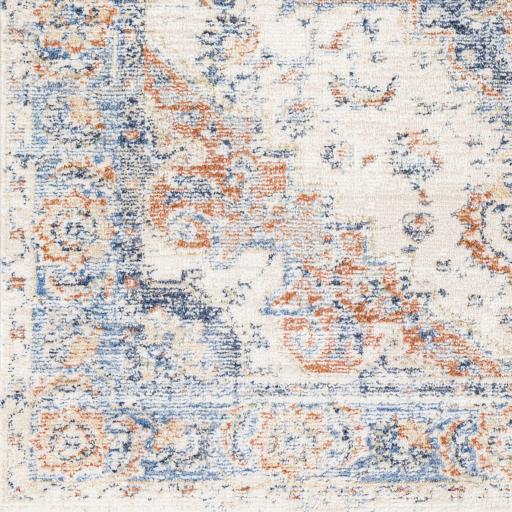 Surya Amore AMO-2301 2'6" x 10' Rug