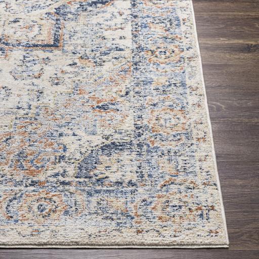 Surya Amore AMO-2301 7'10" Round Rug