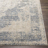 Surya Amore AMO-2304 Cream Denim 2' x 3' Rug