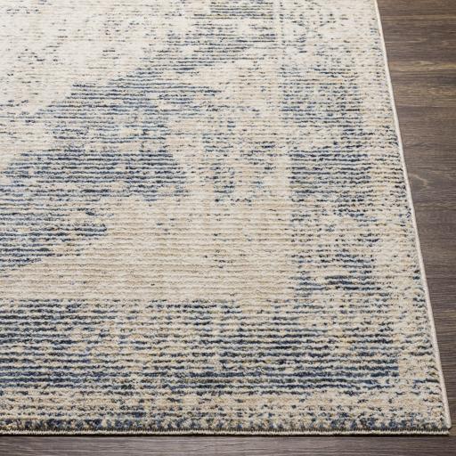 Surya Amore AMO-2304 2' x 3' Rug