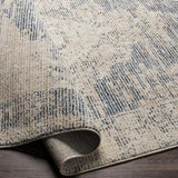 Surya Amore AMO-2304 2'3" x 3'9" Rug