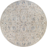 Surya Amore AMO-2305 2' x 3' Rug