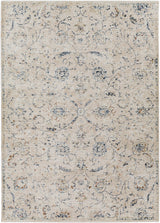 Surya Amore AMO-2305 2' x 3' Rug